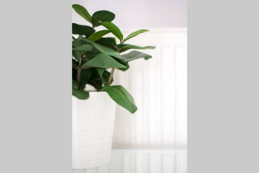 Your Cozy Downtown Home - Apartment Λάρισα Εξωτερικό φωτογραφία